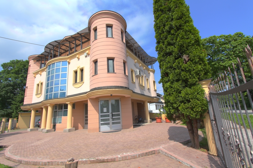 Vila, Kuća, Poslovni prostor, Ilidža